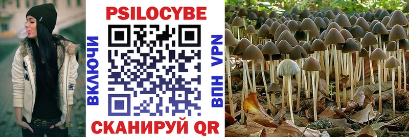 Псилоцибиновые грибы Magic Shrooms Киров